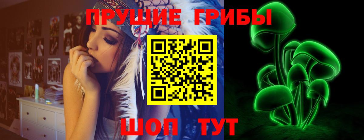 Зерноград  Псилоцибиновые грибы MAGIC MUSHROOMS  Вход с VPN 